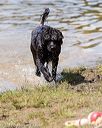 20170819-cwd-0430