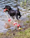 20170819-cwd-0437