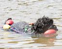 20170819-cwd-0462