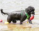 20170819-cwd-0471