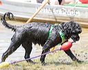 20170819-cwd-0476