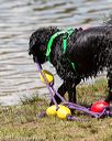 20170819-cwd-0525