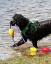 20170819-cwd-0531