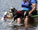 20170819-cwd-0568
