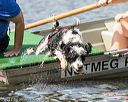 20170819-cwd-0577