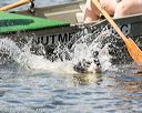 20170819-cwd-0580