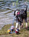 20170819-cwd-0604