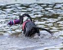 20170819-cwd-0632