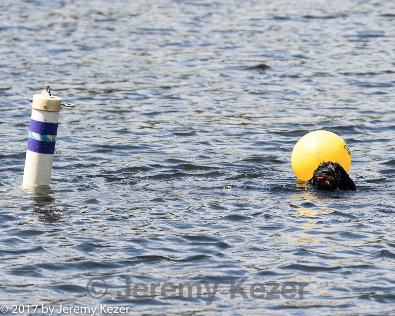 20170819-cwd-0153.jpg