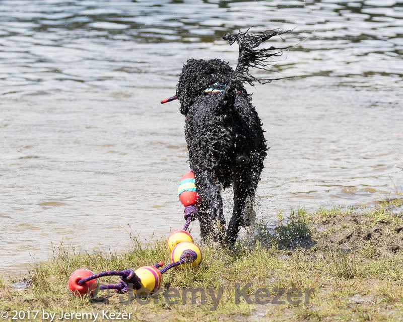 20170819-cwd-0216.jpg