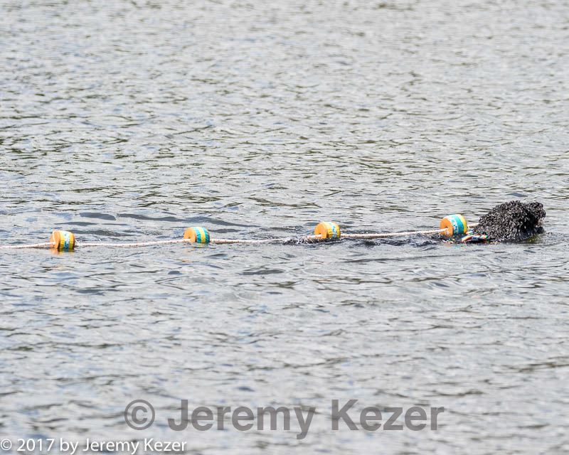 20170819-cwd-0259.jpg