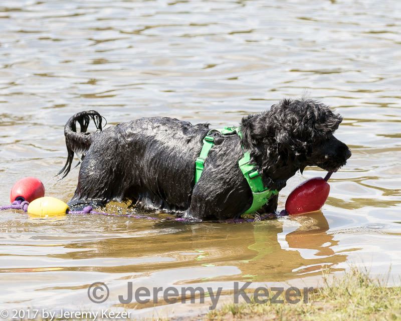 20170819-cwd-0465.jpg