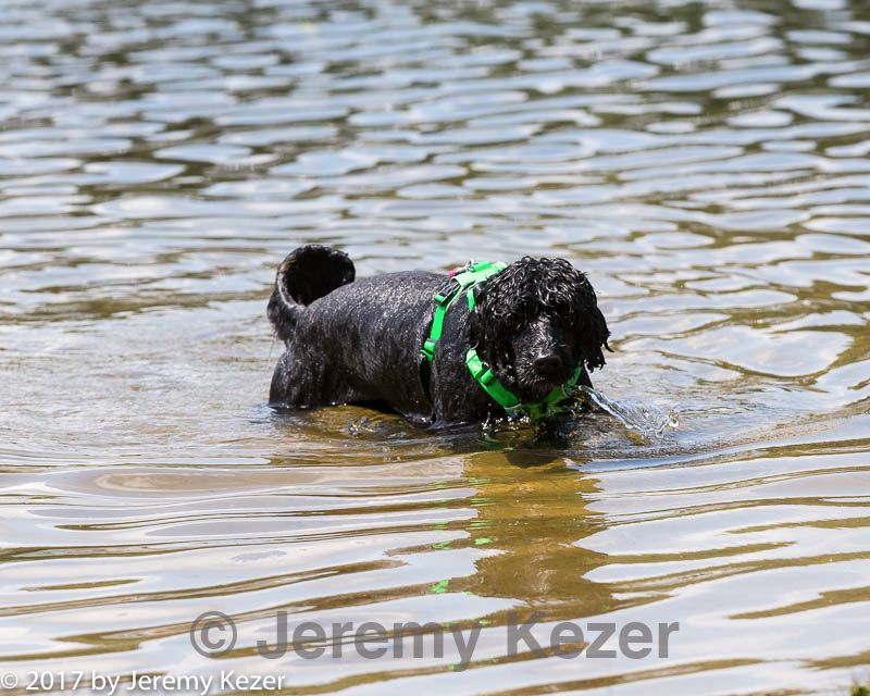 20170819-cwd-0509.jpg