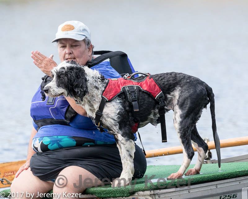 20170819-cwd-0636.jpg