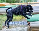 20170819-jwd-0134