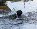 20170819-jwd-0203