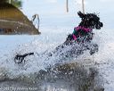20170819-jwd-0214