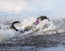 20170819-jwd-0222