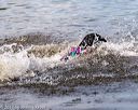 20170819-jwd-0255
