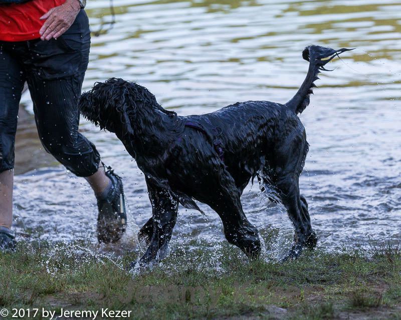20170819-jwd-0178.jpg