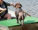 20170819-mwd-0005