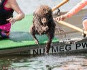 20170819-mwd-0019