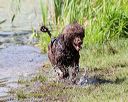 20170819-mwd-0033