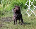20170819-mwd-0035