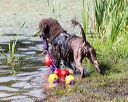20170819-mwd-0044