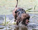 20170819-mwd-0082