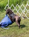20170819-mwd-0091