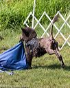 20170819-mwd-0092