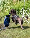 20170819-mwd-0095
