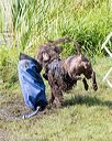 20170819-mwd-0097