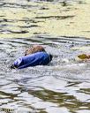 20170819-mwd-0110