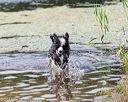 20170819-mwd-0163