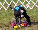 20170819-mwd-0179