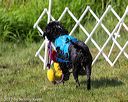 20170819-mwd-0187