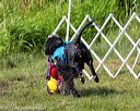 20170819-mwd-0189
