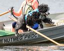 20170819-mwd-0210