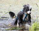 20170819-mwd-0217