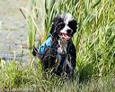 20170819-mwd-0227