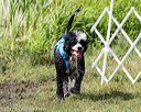 20170819-mwd-0237