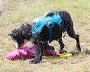 20170819-mwd-0240
