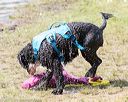 20170819-mwd-0242