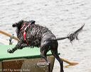 20170819-mwd-0274