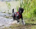 20170819-mwd-0303