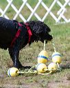 20170819-mwd-0310