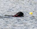 20170819-mwd-0322