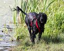 20170819-mwd-0337